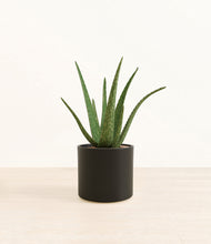 Load image into Gallery viewer, Black*****Profile
