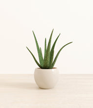 Load image into Gallery viewer, Natural Bamboo*****Profile
