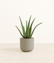 Load image into Gallery viewer, Sage Green*****Profile
