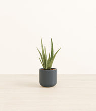 Load image into Gallery viewer, Iron Gray*****Profile
