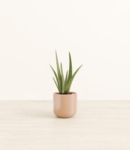 Load image into Gallery viewer, Glossy Pink*****Profile
