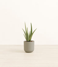 Load image into Gallery viewer, Sage Green*****Profile
