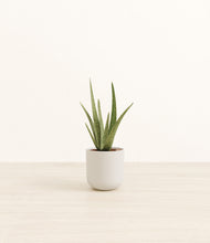 Load image into Gallery viewer, Natural Bamboo*****Profile
