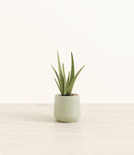 Load image into Gallery viewer, Turquoise*****Profile
