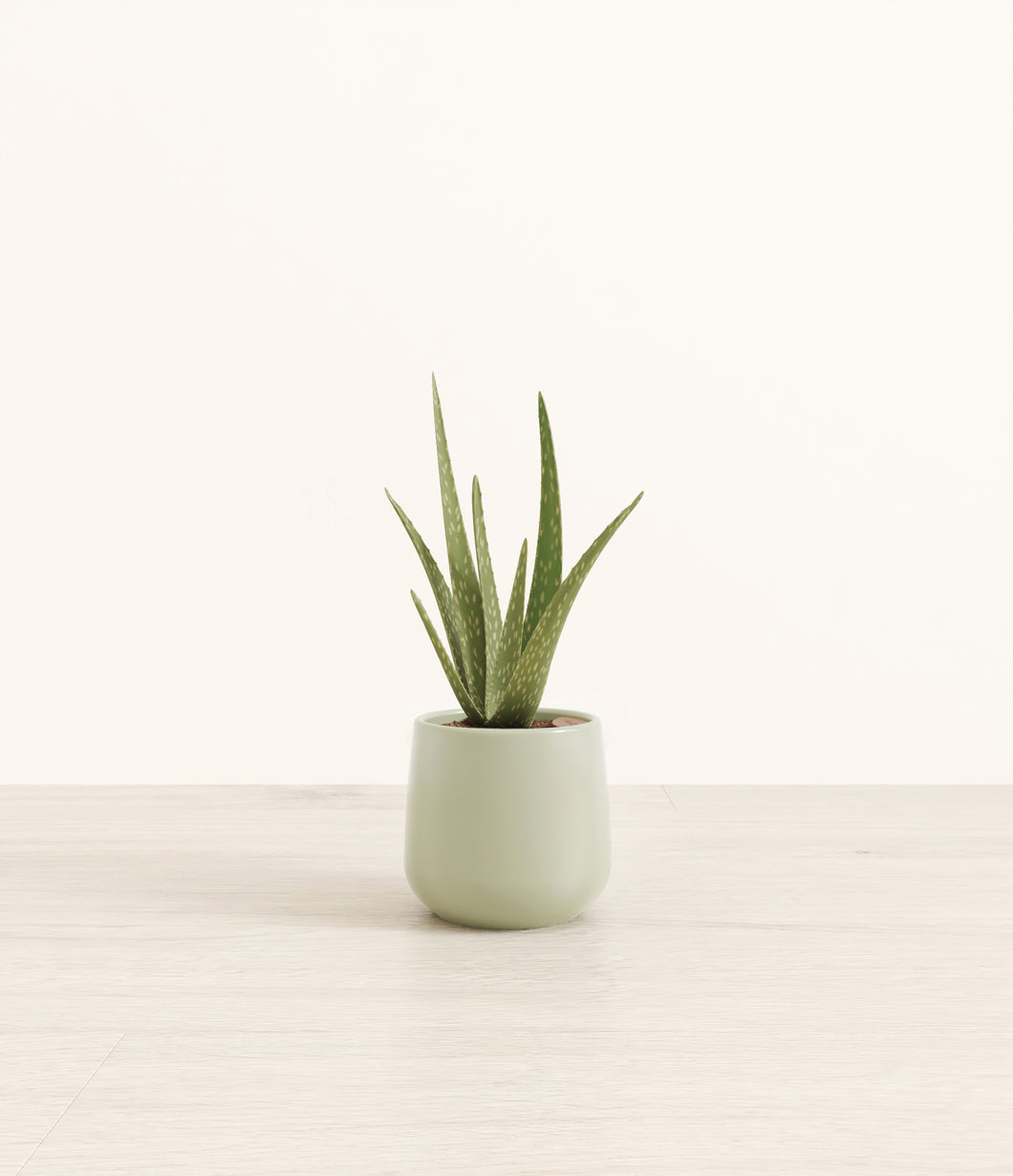 Turquoise*****Profile