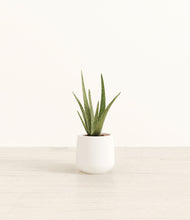 Load image into Gallery viewer, White*****Profile
