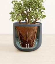 Load image into Gallery viewer, Iron Gray stand:all
