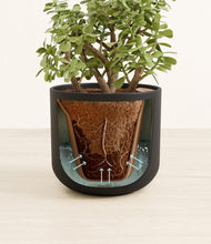 Load image into Gallery viewer, Stone Black stand:all
