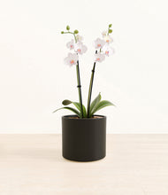 Load image into Gallery viewer, Black*****Profile
