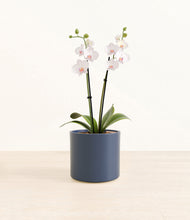 Load image into Gallery viewer, Deep Navy*****Profile
