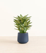 Load image into Gallery viewer, Deep Navy*****Profile
