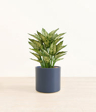 Load image into Gallery viewer, Deep Navy*****Profile
