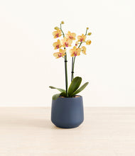 Load image into Gallery viewer, Deep Navy*****Profile
