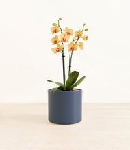 Load image into Gallery viewer, Deep Navy*****Profile
