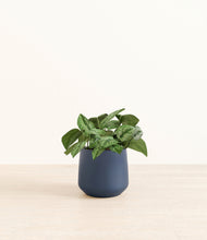 Load image into Gallery viewer, Deep Navy*****Profile
