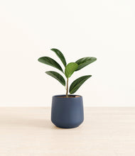 Load image into Gallery viewer, Deep Navy*****Profile
