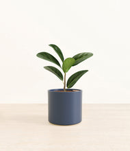 Load image into Gallery viewer, Deep Navy*****Profile

