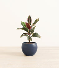 Load image into Gallery viewer, Deep Navy*****Profile
