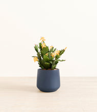 Load image into Gallery viewer, -Deep Navy*****Profile
