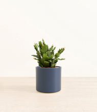 Load image into Gallery viewer, Deep Navy*****Profile
