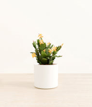 Load image into Gallery viewer, -White*****Profile
