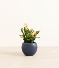 Load image into Gallery viewer, -Deep Navy*****Profile
