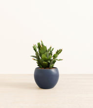 Load image into Gallery viewer, Deep Navy*****Profile
