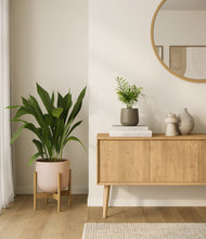 Load image into Gallery viewer, Olive Branch stand:one_stand
