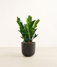 Load image into Gallery viewer, Stone Black*****Profile
