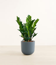 Load image into Gallery viewer, Iron Gray*****Profile
