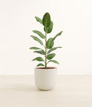 Load image into Gallery viewer, Natural Bamboo*****Profile
