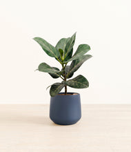 Load image into Gallery viewer, Deep Navy*****Profile
