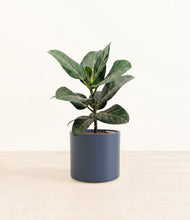 Load image into Gallery viewer, Deep Navy*****Profile
