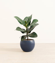 Load image into Gallery viewer, Deep Navy*****Profile
