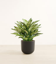 Load image into Gallery viewer, Stone Black*****Profile
