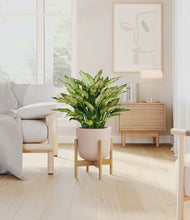 Load image into Gallery viewer, Sandy Pink stand:bamboo
