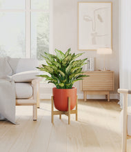 Load image into Gallery viewer, Earth Red stand:bamboo
