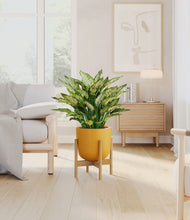 Load image into Gallery viewer, Sunset Orange stand:bamboo
