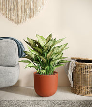 Load image into Gallery viewer, Earth Red
