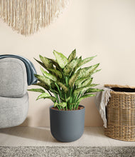 Load image into Gallery viewer, Iron Gray
