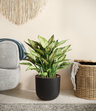 Load image into Gallery viewer, Stone Black
