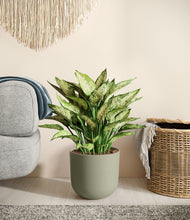 Load image into Gallery viewer, Sage Green
