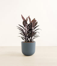 Load image into Gallery viewer, Iron Gray*****Profile
