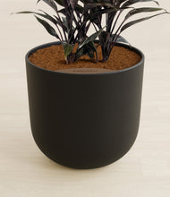 Load image into Gallery viewer, Stone Black stand:all
