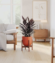 Load image into Gallery viewer, Earth Red stand:walnut
