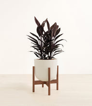 Load image into Gallery viewer, Natural Bamboo stand:walnut
