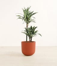 Load image into Gallery viewer, Earth Red*****Profile
