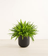 Load image into Gallery viewer, Stone Black*****Profile
