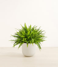 Load image into Gallery viewer, Natural Bamboo*****Profile
