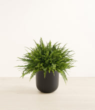 Load image into Gallery viewer, Stone Black*****Profile
